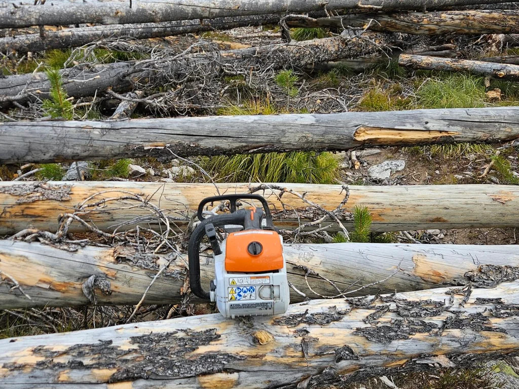 A chainsaw resting on fallen logs cut and stacked beside the trail through burned timber.