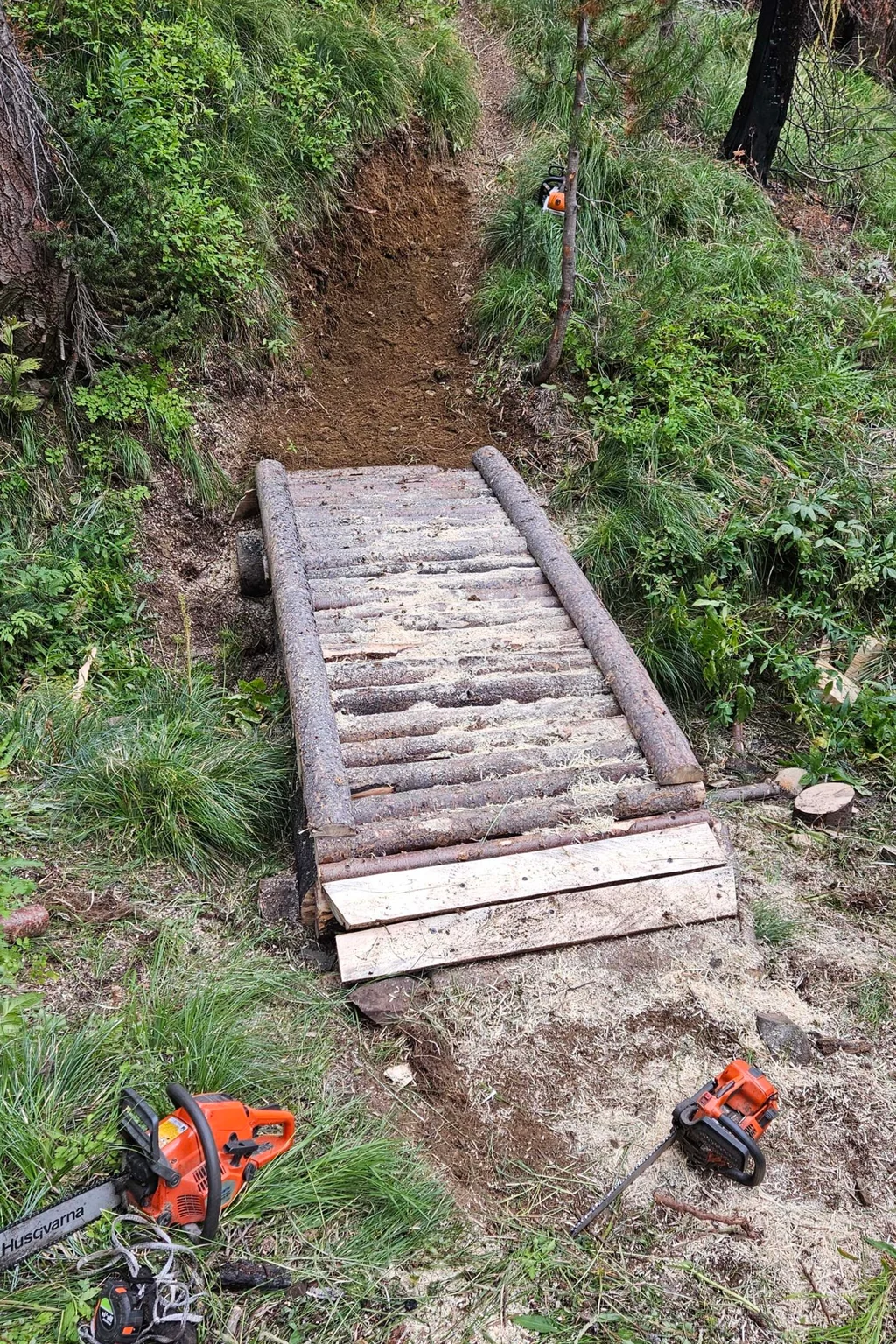 A small bridge of peeled logs and planks carrying the trail over a gully.