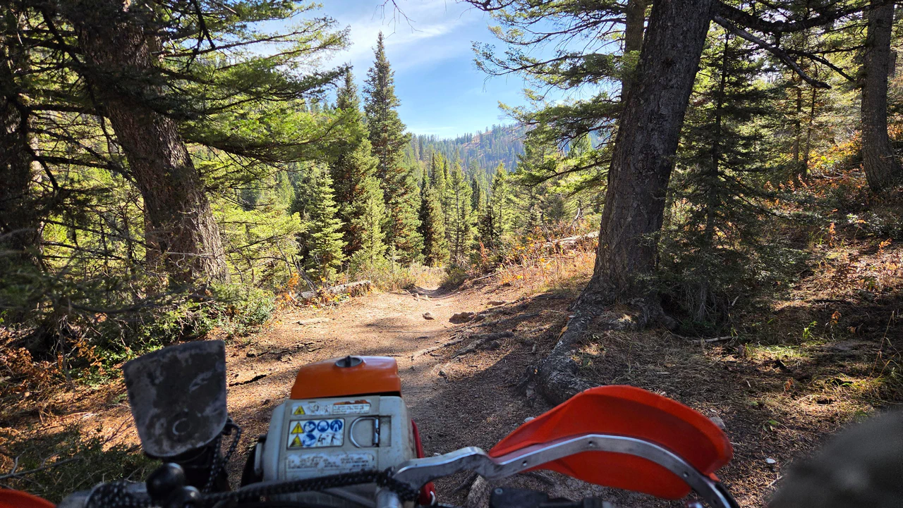 Carlton Cutoff and Blacktail